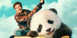 Sinopsis Film Panda Plan: Aksi dan Komedi Seru Ala Jackie Chan